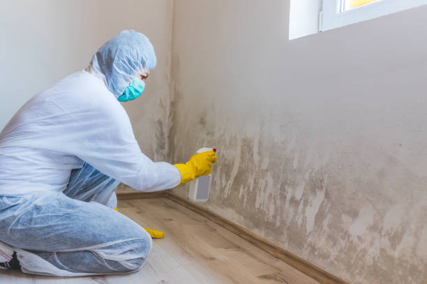 Hvac And Air Duct Mold Remediation inspection of HVAC system in Luke